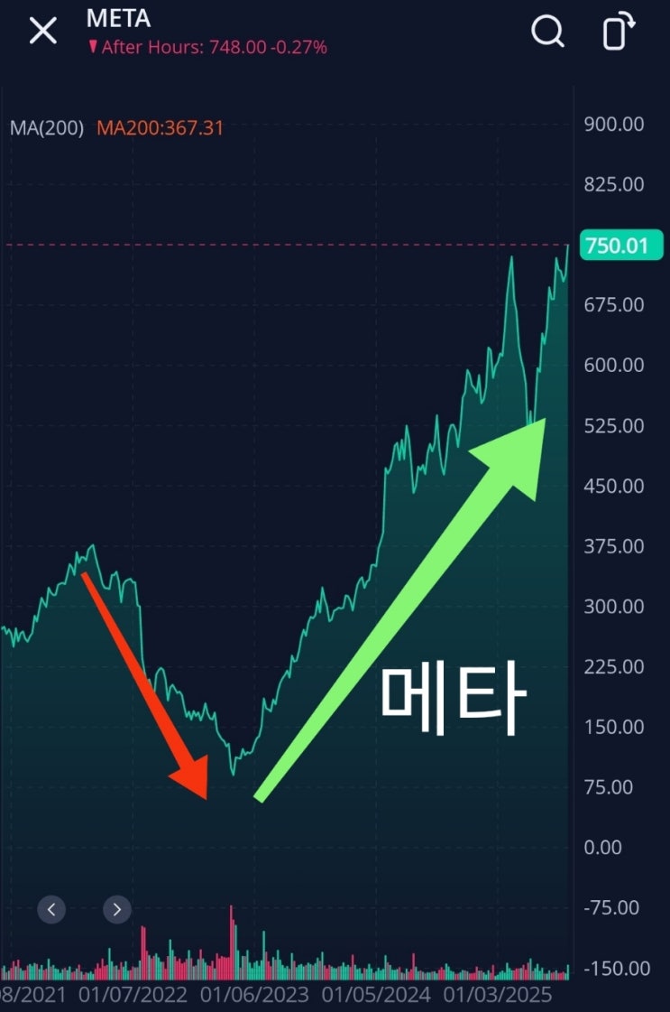  주가폭락 유나이티드헬스(UNH), 노보노디스크(NVO)는 메타의 길을 가게 될까?