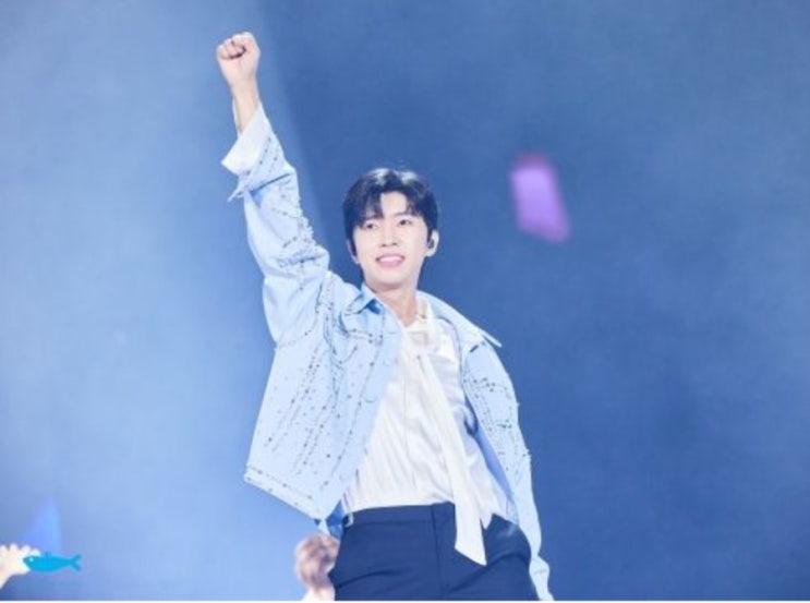   임영웅… 본인도 멋진데 팬들도 이렇게 멋있다고?