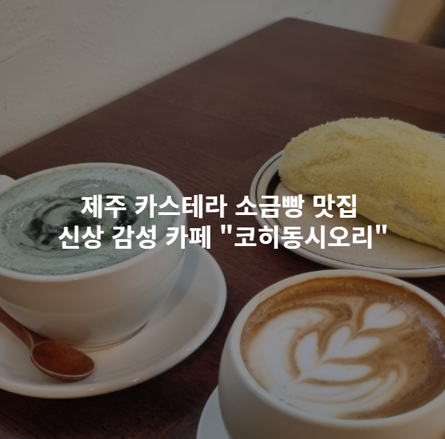  제주 카스테라소금빵맛집 신상감성카페 코히동시오리