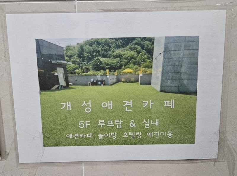 사진 3