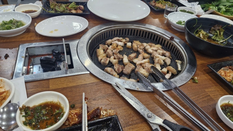 암소한마리 사진 3