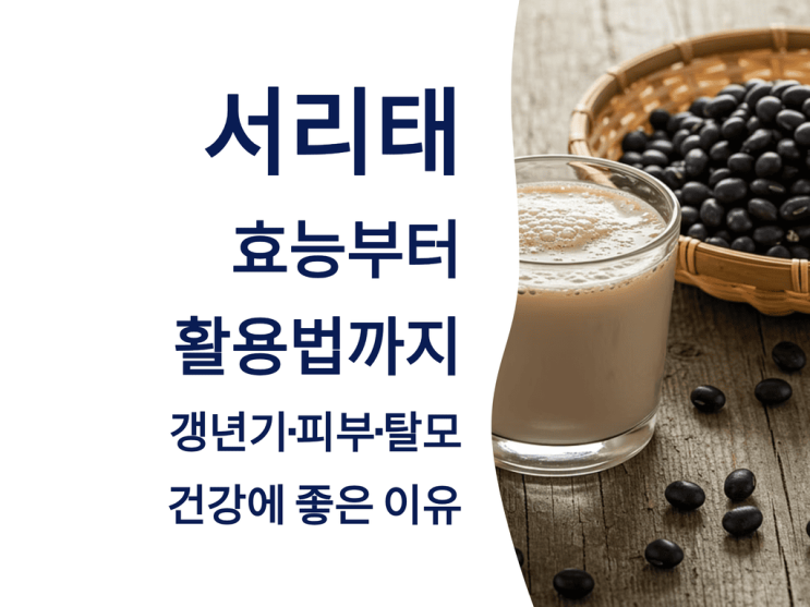  서리태 효능부터 활용법까지, 갱년기·피부·탈모 건강에 좋은 이유