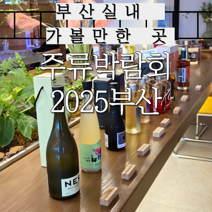  부산실내가볼만한 곳 벡스코박람회 8월 행사 주류박람회2025부산