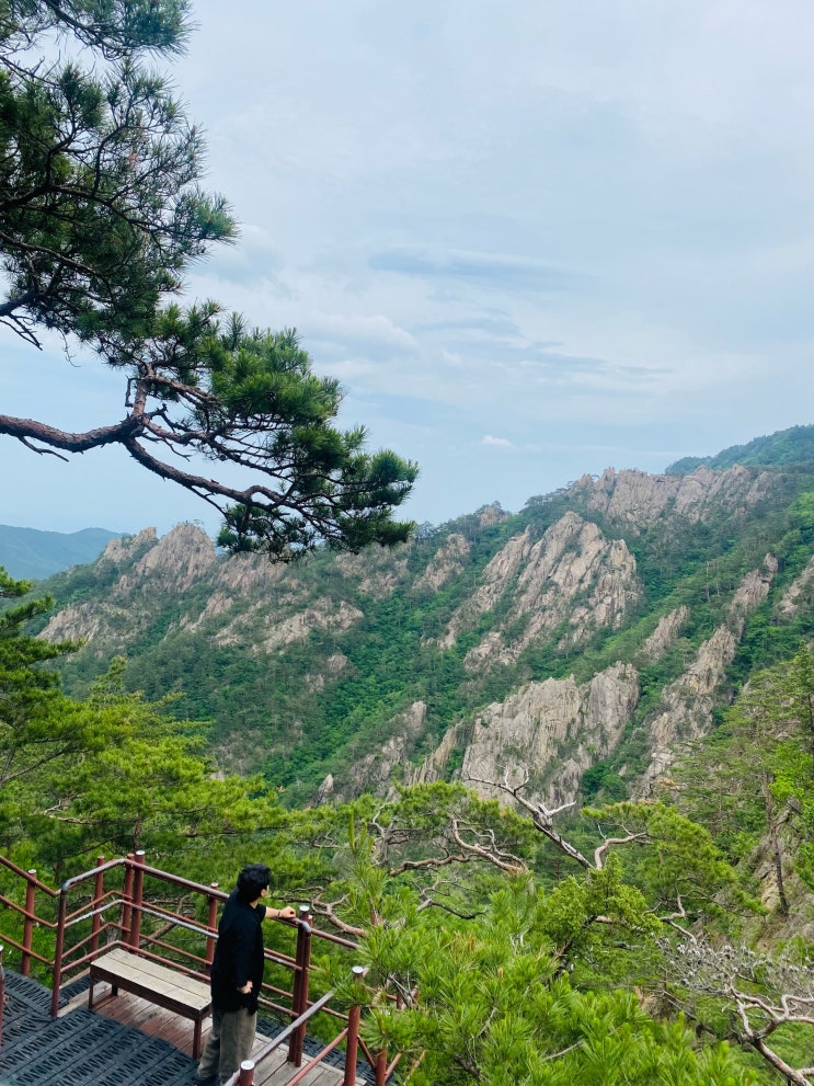  나답게 산다는 것: 나를 잃지 않는 법 
