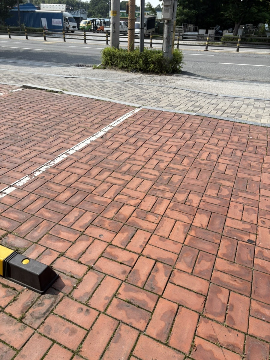 푸릇티 사진 1