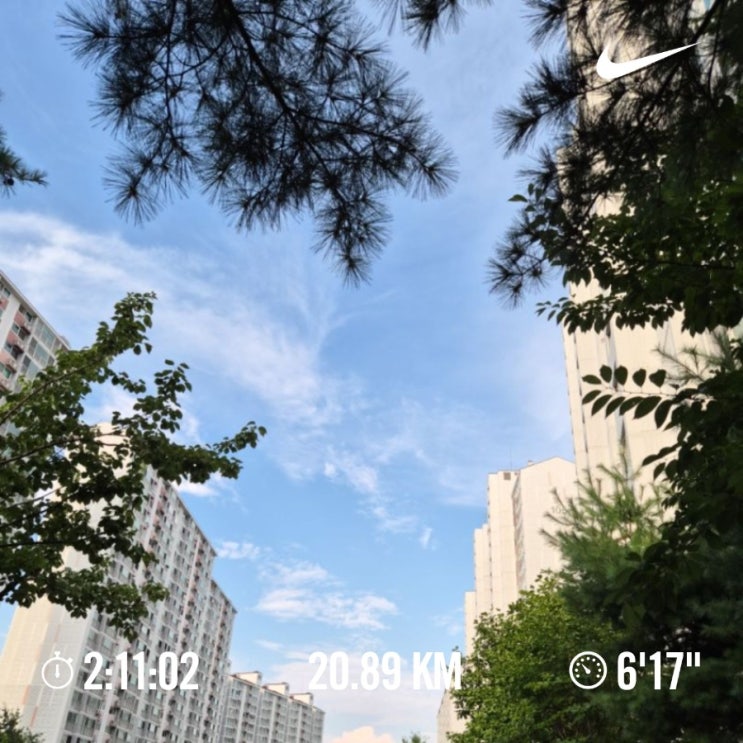 매일 10km 러닝 달리기 챌린지 1454일 차