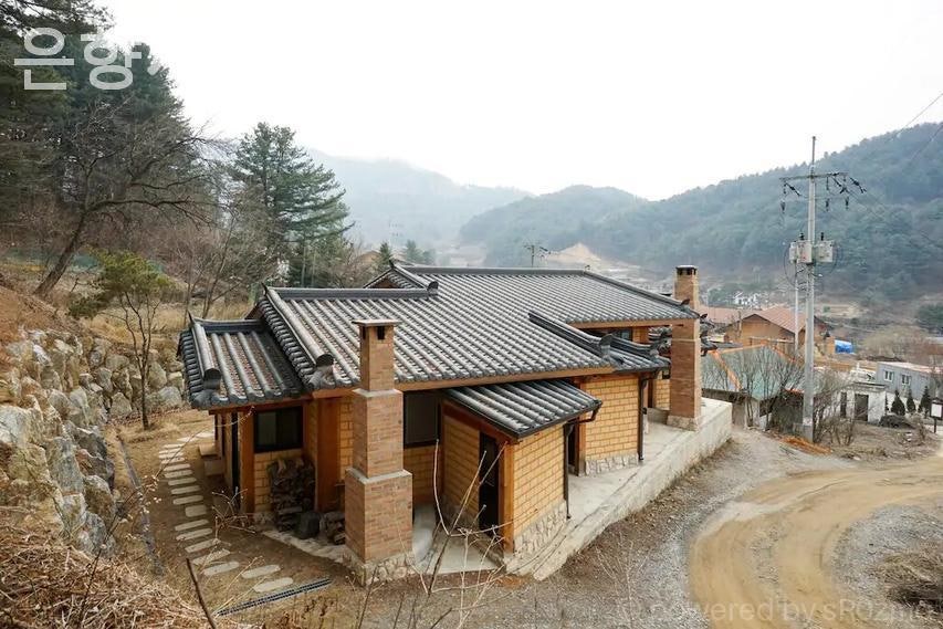 은향채 사진 3