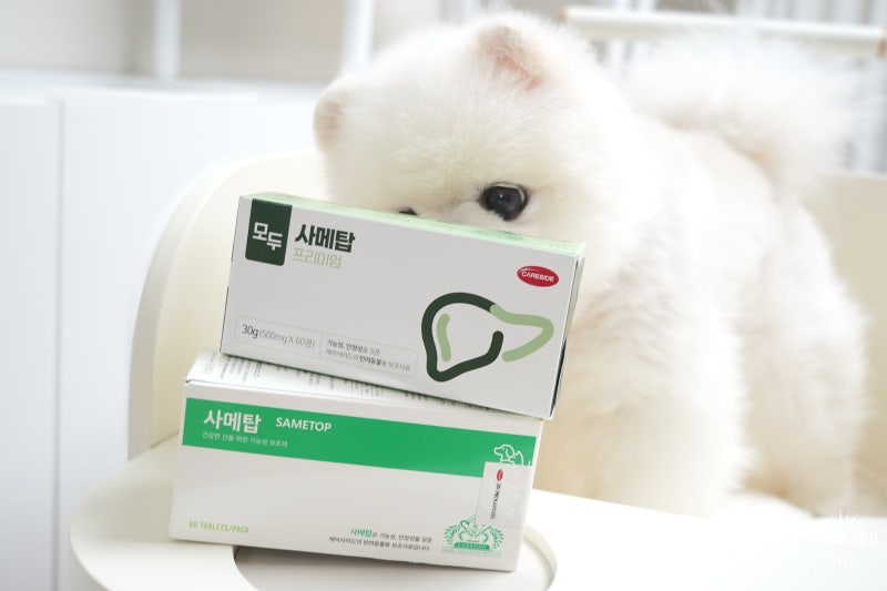 강아지 고양이 간영양제! 모두 사메탑 프리미엄과 사메탑, 포르테 성분 비교❤️