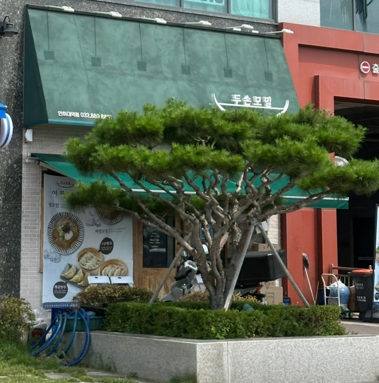  용현동 인하대역 앞 만두, 모밀 맛집 두손메밀