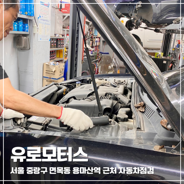  면목동카센터 유로모터스 서울 중랑구 자동차점검 후기