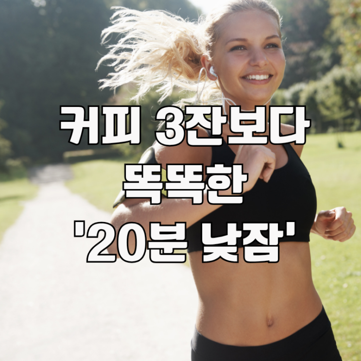  과학적으로 알아보는 낮잠 효과,적정 시간.