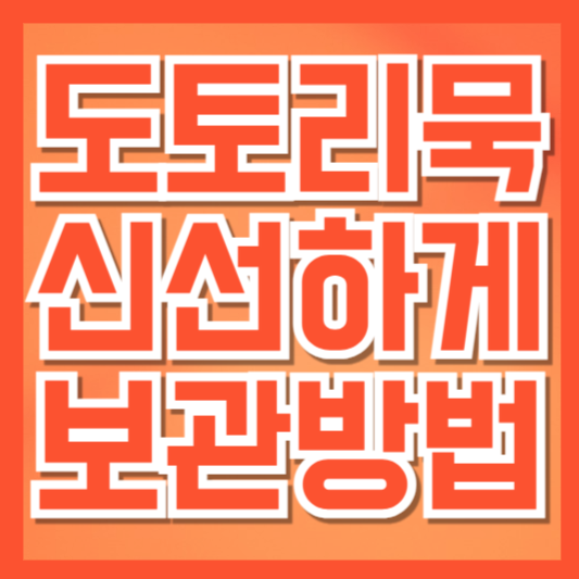  도토리묵 보관법｜냉장부터 냉동·건조까지 신선하게 오래 먹는 꿀팁