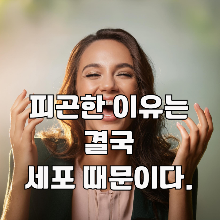  자도자도 계속 피곤한 이유는 바로. 미토콘드리아 기능 때문입니다.