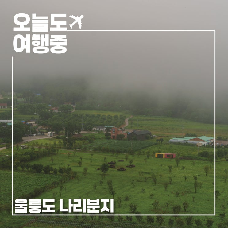  비가 와도 좋은 울릉도 여행 | 안개 가득한 나리분지와 아리랑김밥