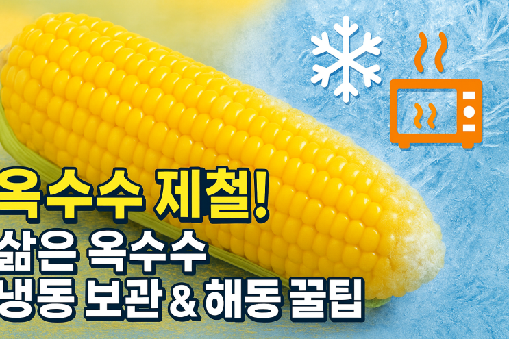  옥수수 제철, 삶은 찐 옥수수 냉동 보관과 해동 꿀팁 총정리