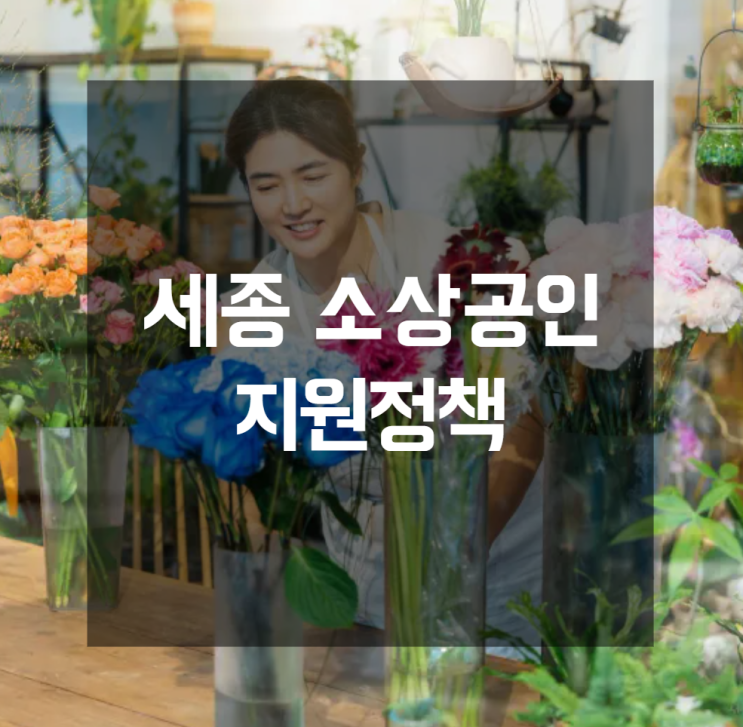 세종 소상공인지원정책으로 기업성장 극대화, 전문가 노하우와 금융지원 방법