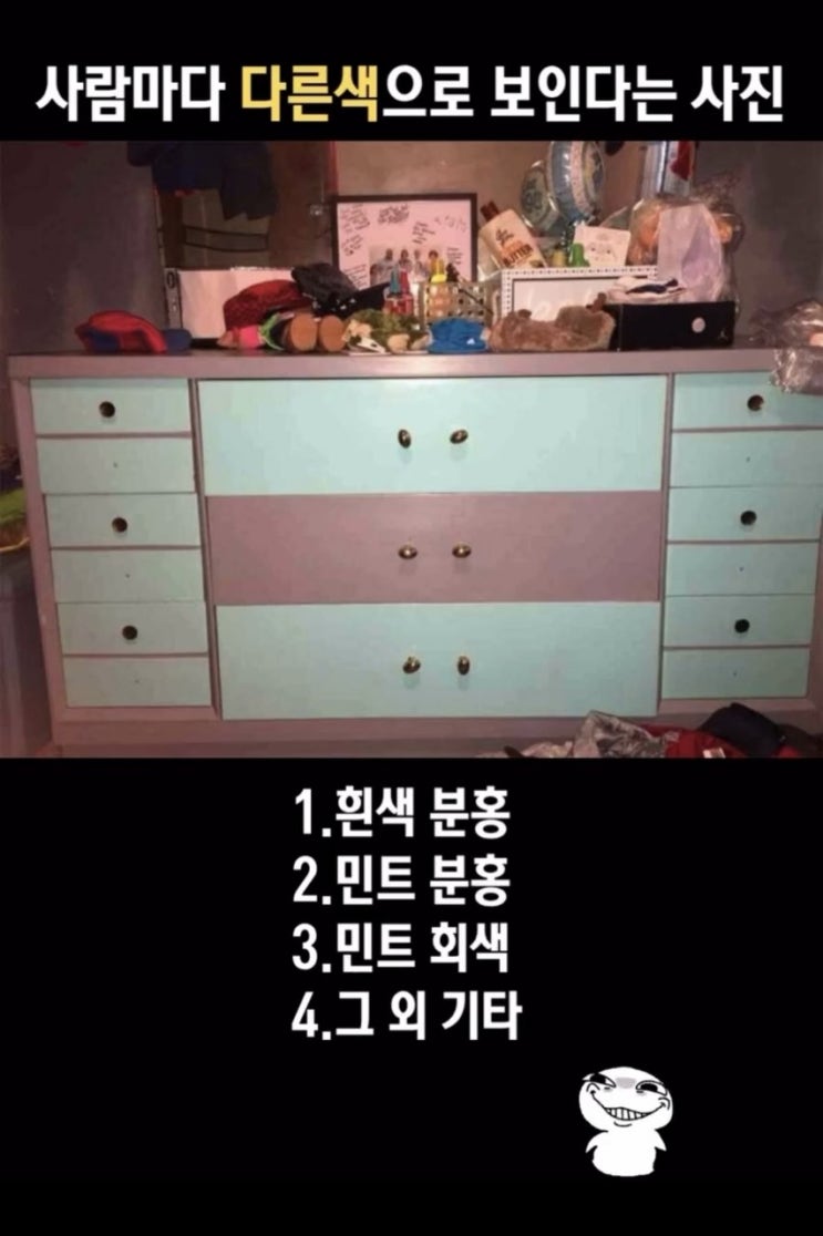  사람마다 다르게 보인다는 사진?