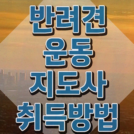  , 반려견운동지도사 인강만 듣고 독학으로 완료한 팁
