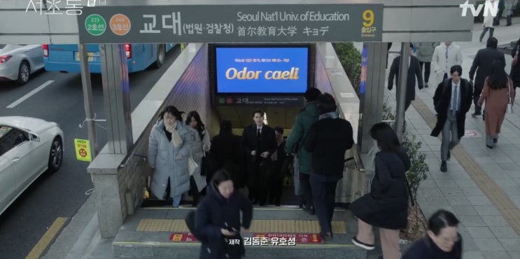  서초동 변호사, 드라마 《서초동》