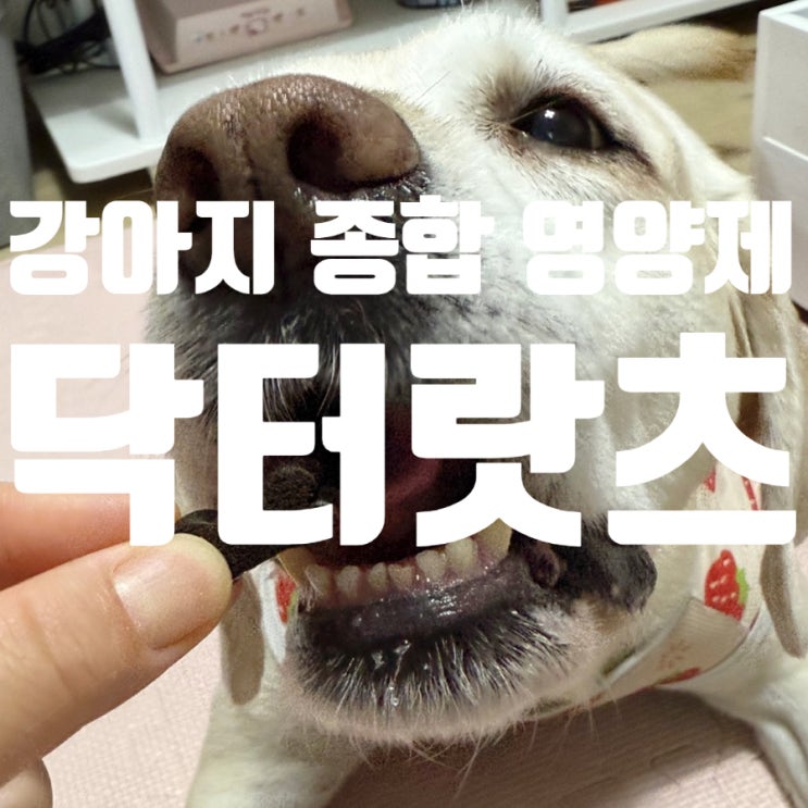  강아지 종합 영양제 닥터랏츠 기호성좋은 강아지영양제