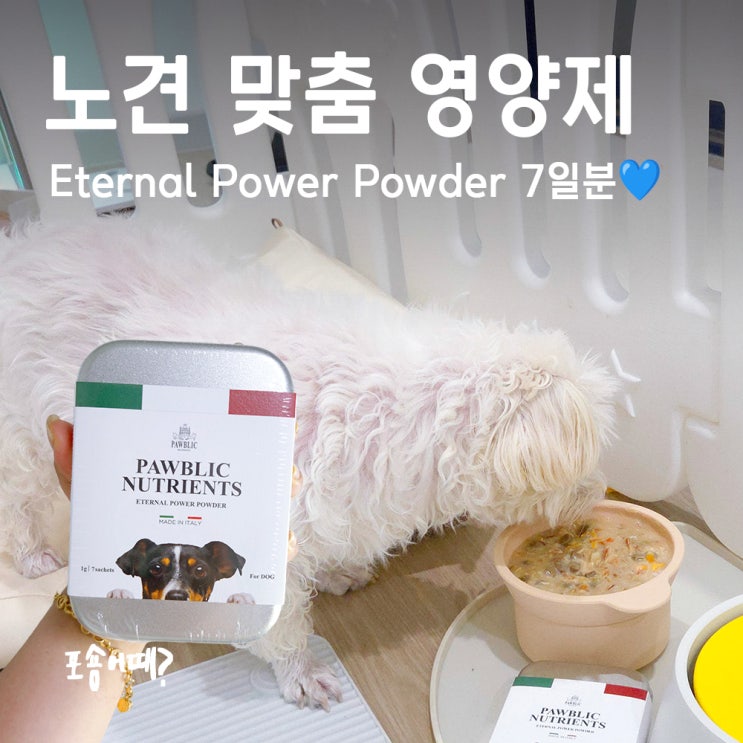  노령견영양제, 15살 말티즈 멍꿀이의 건강한 변화 이터널 파워 파우더 솔직 후기