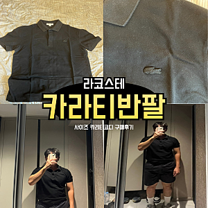 라코스테 카라티 반팔 파리 폴로 블랙 남성 사이즈 코디 추천