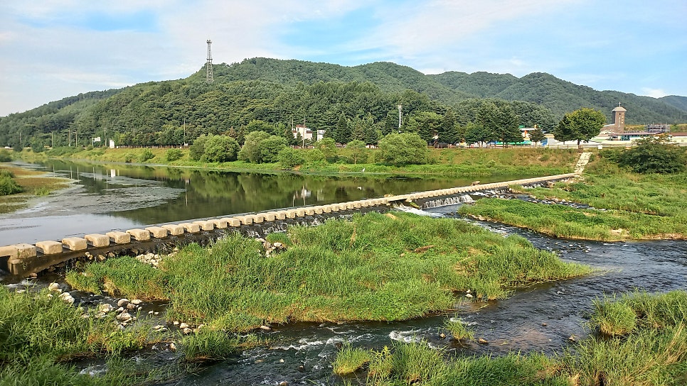 수니가든 사진 3