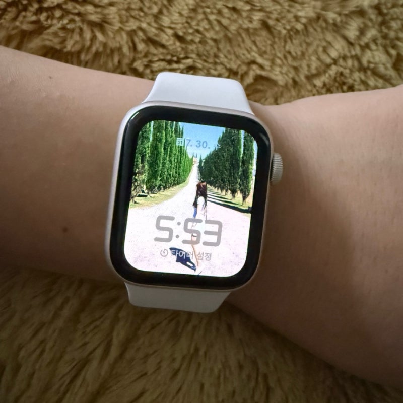 현대카드 M포인트몰 애플데이에 애플워치 구매 성공!! (애플워치 SE GPS 40mm) 그리고 8월 애플데....