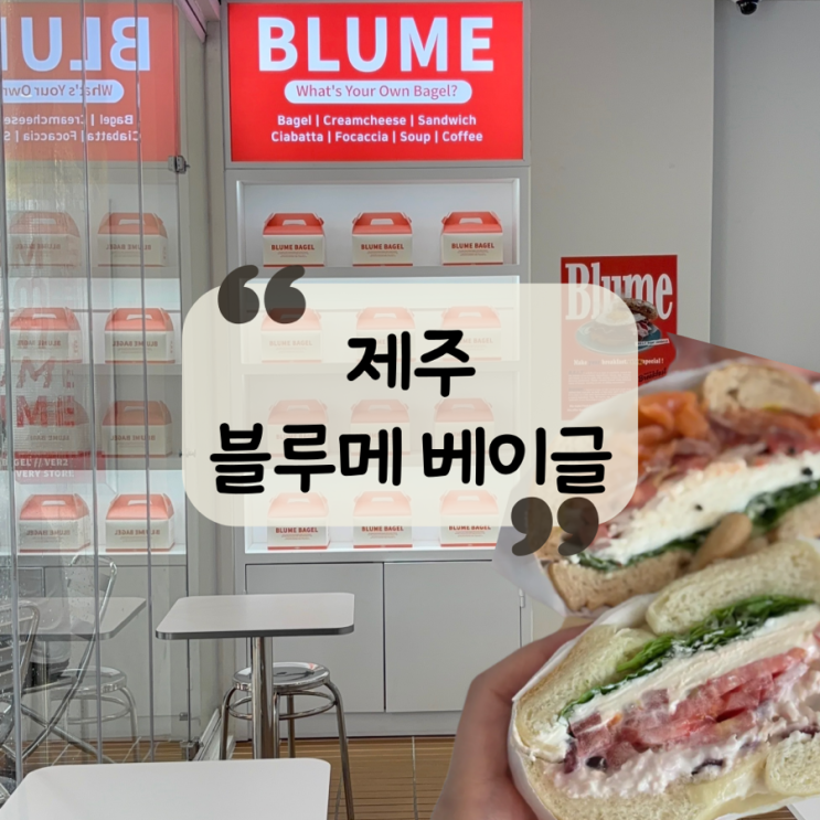  [제주 맛집] 색감천재 베이글 제주 빵지순례 코스! 노형 샌드위치 맛집 "블루메 베이글"