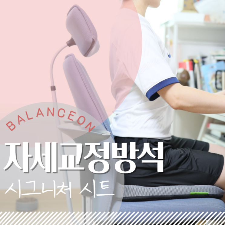  자세교정방석 벌집방석 '밸런스온 시그니처시트'
