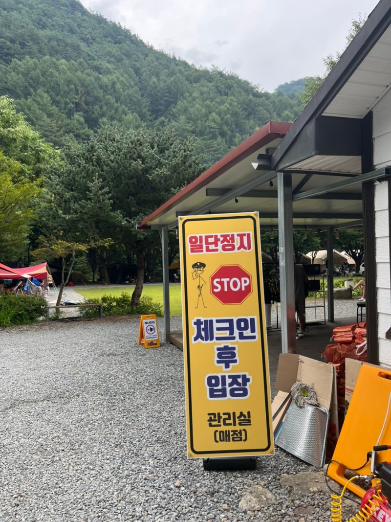 사진 3