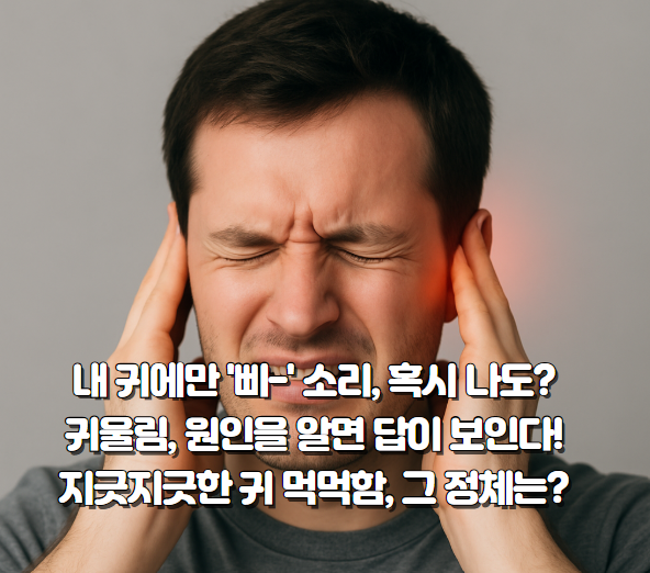 귀울림 먹먹함, 이명 삐 소리 원인 총정리
