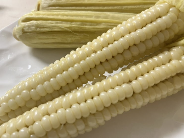  여름 간식 고민 끝! 아이도 반한 괴산대학찰옥수수 아이와 먹어본 후기