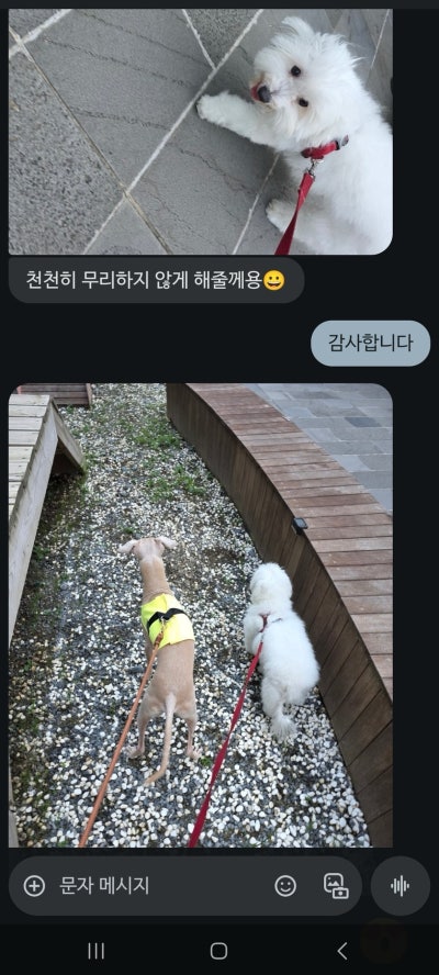 사진 2