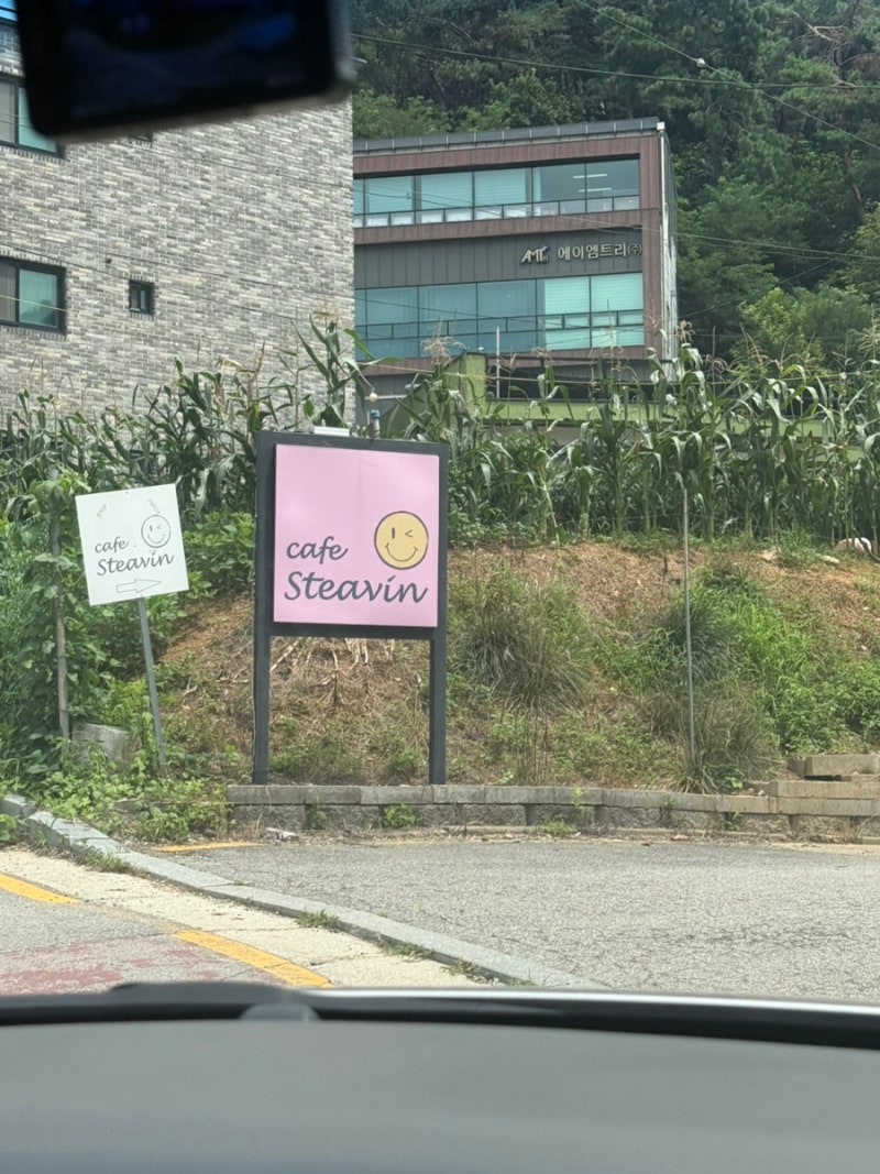 사진 3