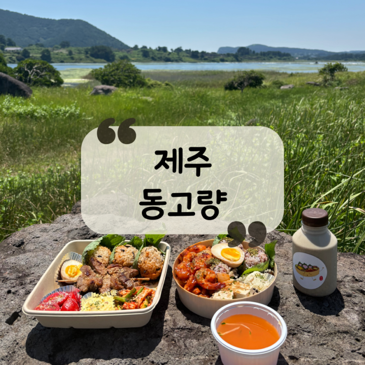  [제주 맛집] 웨딩스냅, 피크닉 도시락으로 추천하는 제주 도시락 맛집 "동고량"