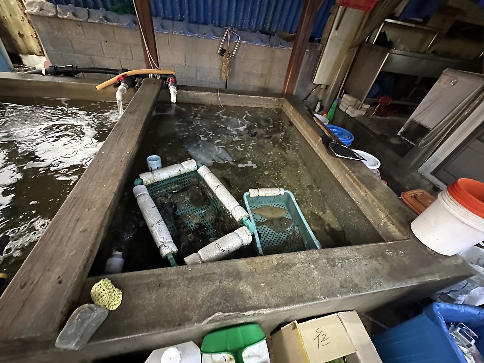 항구횟집 사진 3
