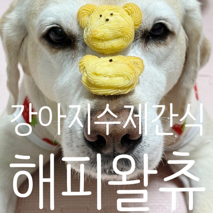  강아지수제간식 반려동물간식 해피왈츄 고구마쿠키