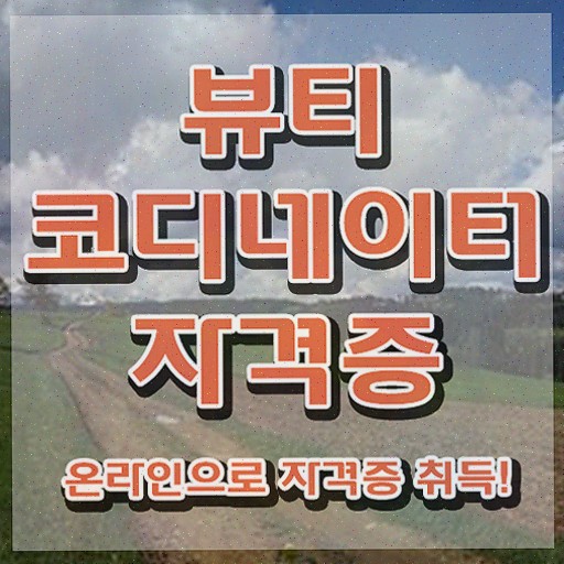  코디네이터 월급 , 쉽고 간편하게 취득했던 후기 , 향후 전망
