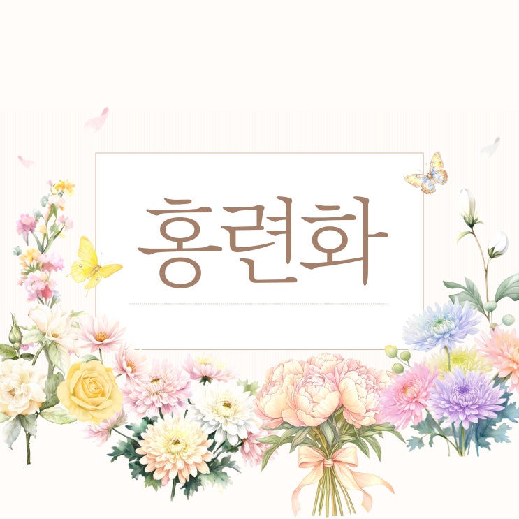  귀멸의 칼날 1기 오프닝 OST 노래 LISA 리사 홍련화 TJ노래방번호 가사 발음 紅蓮華 Gurenge 한국어