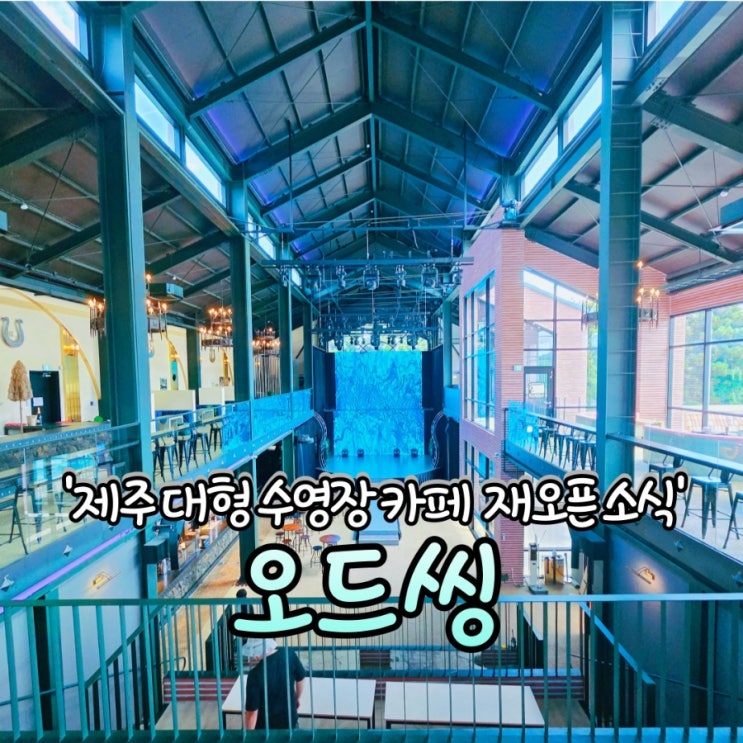  제주 대형 수영장 카페 오드씽 재오픈 소식!
