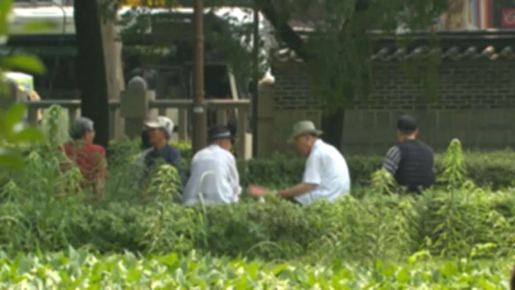  국민연금에 재산 맡기면 생활비 준다? [치매머니 공공신탁제도]