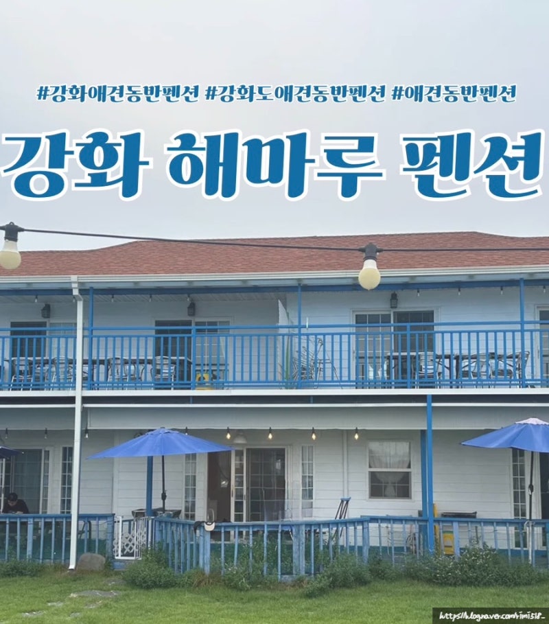 사진 6