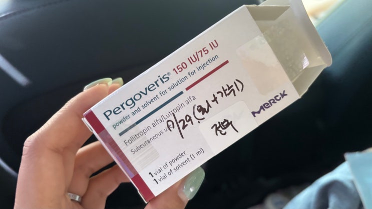  다시, 시험관