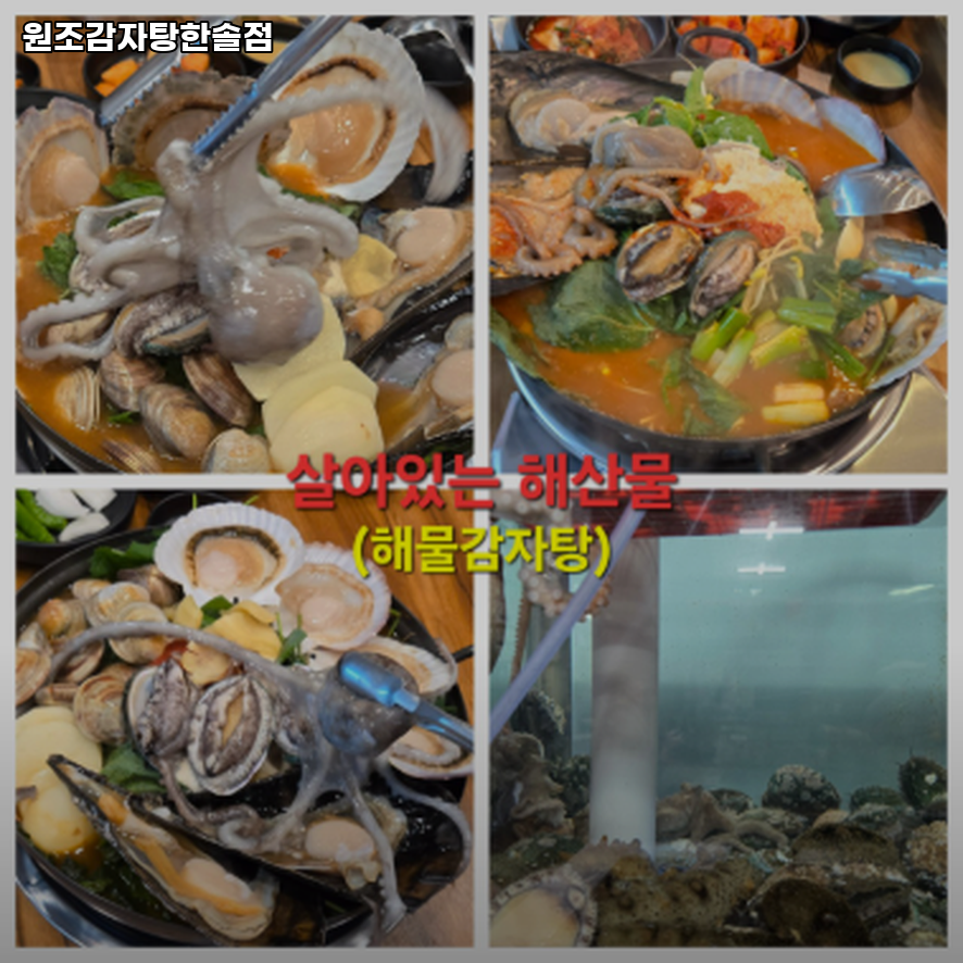 원조감자탕 한솔점 사진 3
