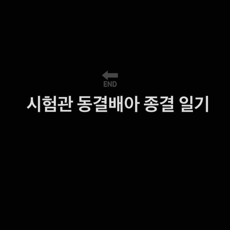 시험관 동결배아 2차 시험관 착상실패