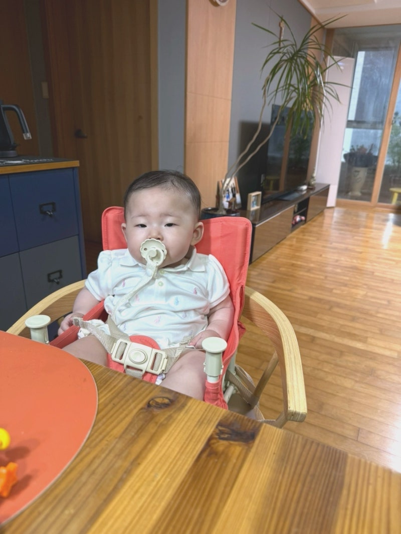 휴대용 아기의자 후부스터 후기