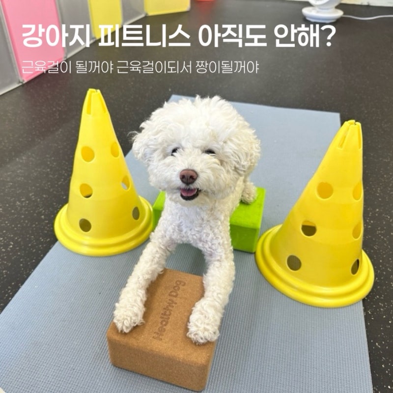 사진 7