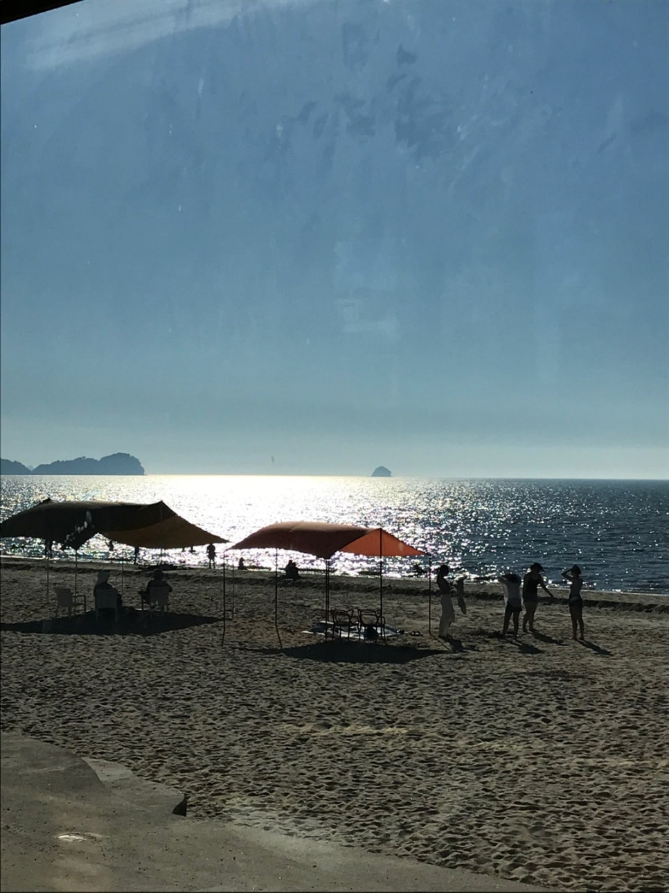 진시황뼈다귀감자탕 사진 2