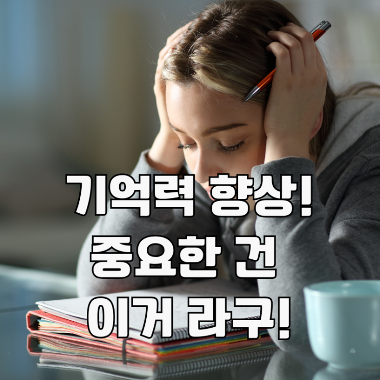  기억력 좋아지는 법: 와다 히데키의 과학적 비밀.